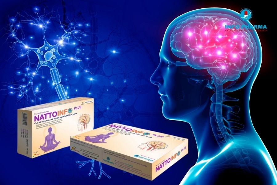 Nattoinfo Plus khắc tinh của thiểu năng tuần hoàn não
